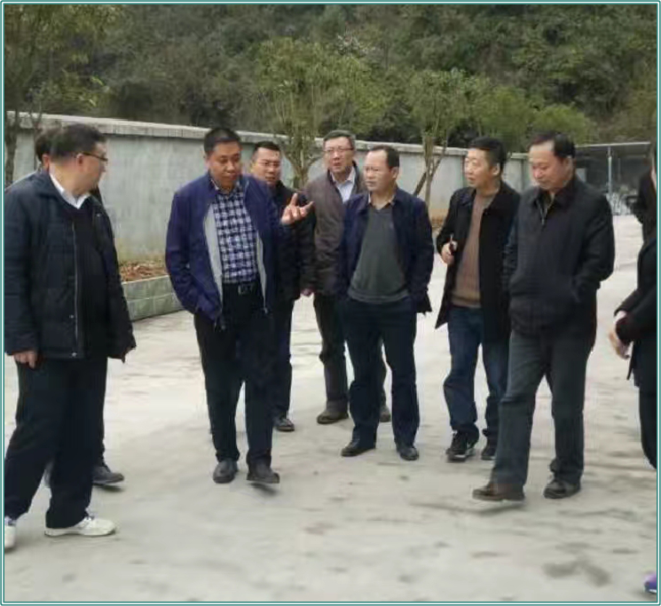 恩施州州长调研星斗山生产基地.png