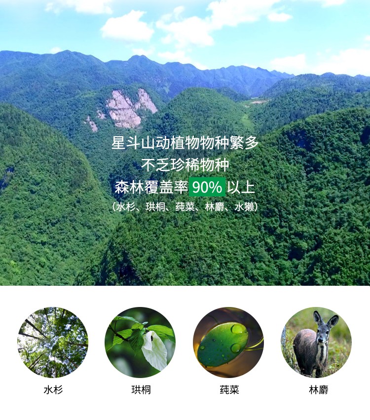 瓶装水500ml活泉水_07.jpg