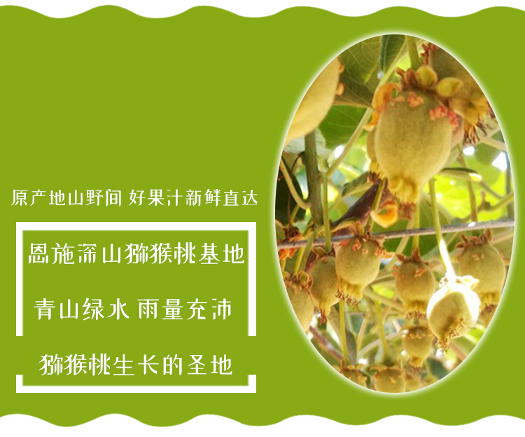 猕猴桃汁详情页_03.jpg